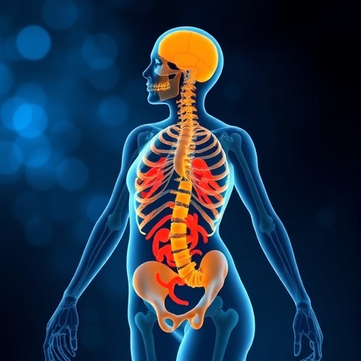 adiposity-linked-to-cancer:-comprehensive-meta-analysis