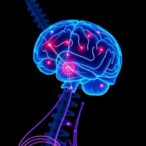 adaptive-brain-stimulation-tailored-to-every-step-of-parkinson’s-patients