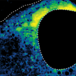 ai-predicts-gene-regulation-for-drug-discovery-using-condensate-morphology