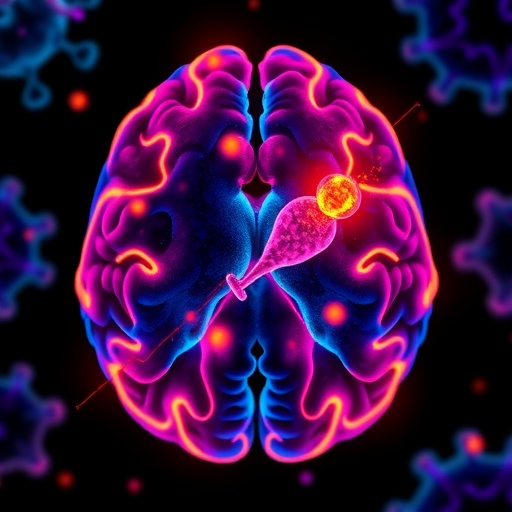 immune-activation-could-hold-the-key-to-success-of-dual-target-car-t-therapy-in-glioblastoma