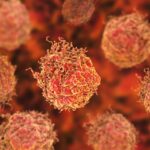 silica-nanoparticles-induce-ferroptosis,-reprogram-immunity-in-prostate-cancer-models