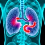 quinolinic-acid-boosts-prostate-cancer-therapy-response