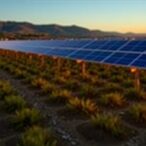 paint-database-enables-fair-data-for-solar-plants