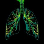 decoding-bronchopulmonary-dysplasia:-integrating-physiological-data