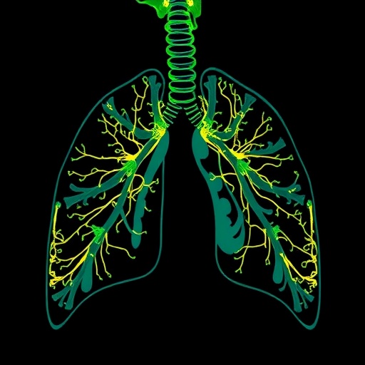 decoding-bronchopulmonary-dysplasia:-integrating-physiological-data