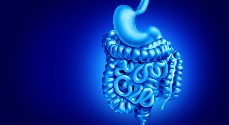 single-cell-rna-sequencing-reveals-gene-activity-changes-in-crohn’s-disease