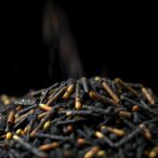 rice-husk-biochar-catalyst-rapidly-decomposes-antibiotic-pollutants-in-minutes