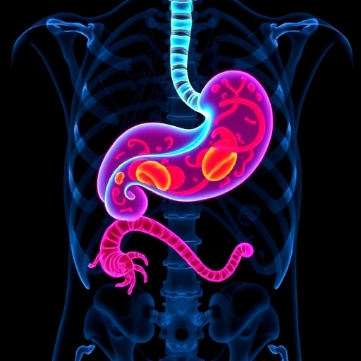 new-tomography-based-marker-advances-accuracy-of-gastric-cancer-prognosis