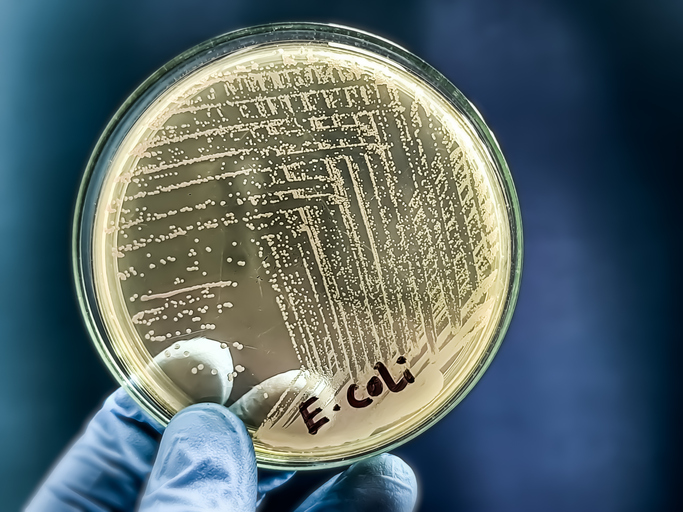 bacterial-expression-tech-prompts-northx-and-engenes-collaboration