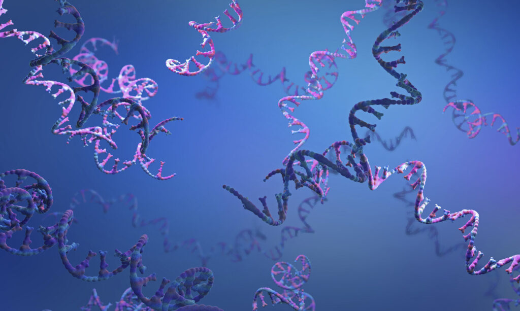 age-related-inflammation-linked-to-r-loop-nucleic-acids,-opens-therapies