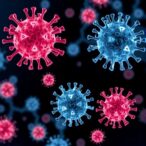 new-study-seeks-to-prolong-immune-system-longevity