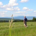 scientists-awarded-$4-million-to-enhance-endangered-species-management-on-military-lands