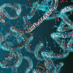 nirrin-technologies-and-st.-japan-partner-on-next-gen-protein-quantitation-tech