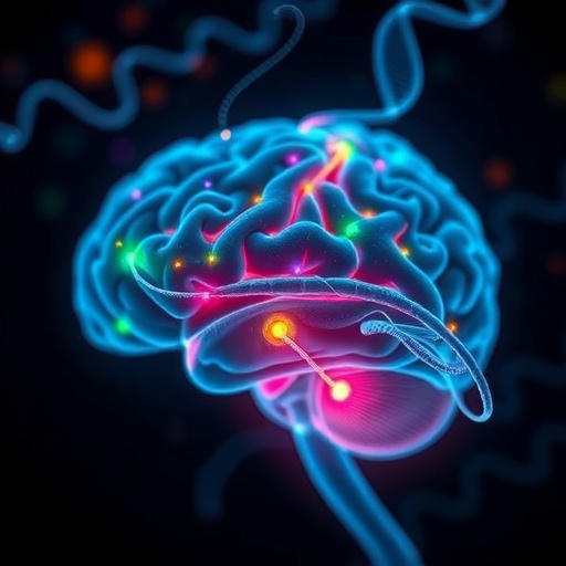 tiny-genetic-fragments-crucial-for-signaling-brain-rest-identified