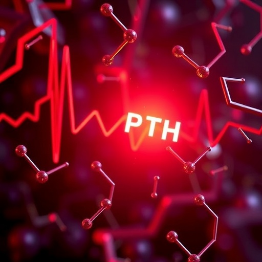 polyamines:-new-hope-against-deadly-short-qt-arrhythmias