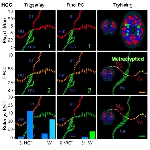 trigger-day-hcg-impacts-dna-methylation,-neurodevelopment