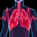 seismocardiography-estimates-cardiorespiratory-fitness-in-elderly