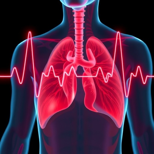 seismocardiography-estimates-cardiorespiratory-fitness-in-elderly