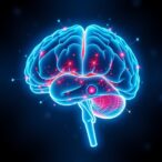 metaplasticity-enhances-life-course-brain-health-strategies