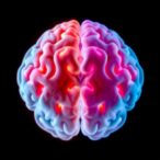 desflurane-vs.-propofol:-impact-on-elderly-brain-health