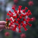 10-essential-facts-about-hantavirus-and-ebola-virus-disease