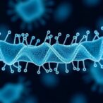 how-bacteria-recognize-structure-in-tat-transport