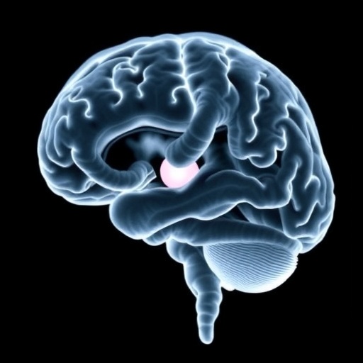 optimal-echocardiography-timing-in-neonatal-brain-injury