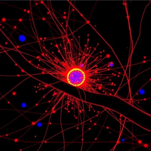 unraveling-random-cellular-fluctuations-with-label-free-interferometric-scattering-microscopy