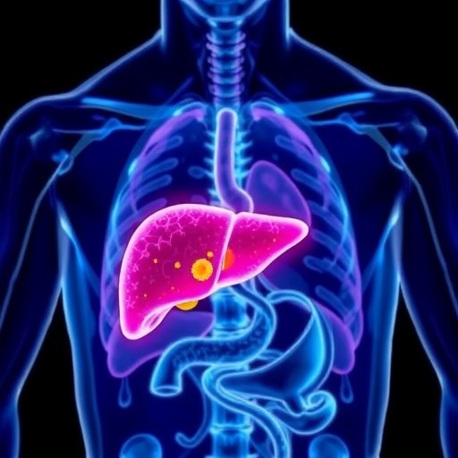 can-immunotherapy-increase-liver-cancer-patients’-eligibility-for-transplantation?