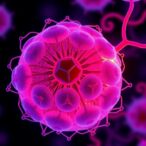 singlet-fission-drives-energy-transfer-in-bacteria