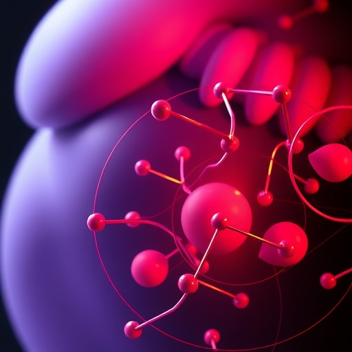serum-fam132a-links-obesity-to-endothelial-dysfunction