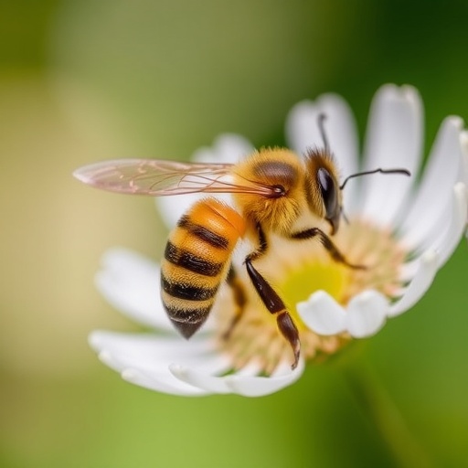 unraveling-the-genetic-buzz:-insights-into-worker-honeybee-metamorphosis