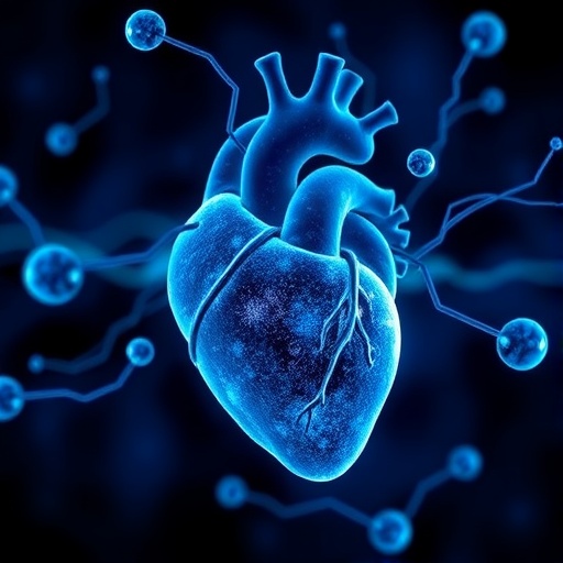 new-technology-uncovers-how-the-heart-produces-cells-with-regenerative-potential