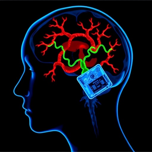 antler-stem-cells-relieve-cerebral-ischemic-injury