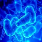 how-intestinal-mucus-influences-klebsiella-pneumoniae-colonization-and-antibiotic-effectiveness