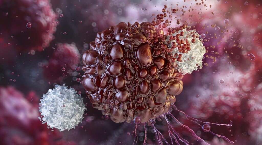 novel-feeder-cell-line-dramatically-expands-nk-cell-production