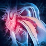 drug-targets-ldl-receptor-pathway-to-control-cholesterol