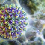 nipah-and-hendra-viruses:-antibody-cocktail-provides-complete-protection-in-hamster-model