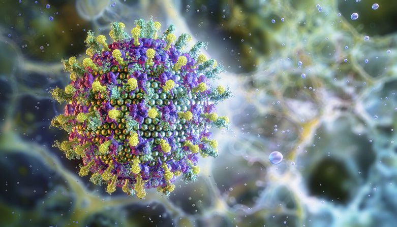 nipah-and-hendra-viruses:-antibody-cocktail-provides-complete-protection-in-hamster-model