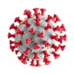 krict-identifies-novel-srv2-envelope-protein-to-enhance-car-immune-cell-production