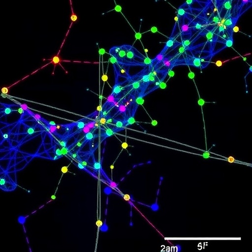 tubulin-cofactor-b-drives-glioblastoma-cell-migration