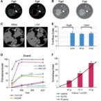 wnt-signaling-fuels-stemness-in-smarca4-deficient-tumors