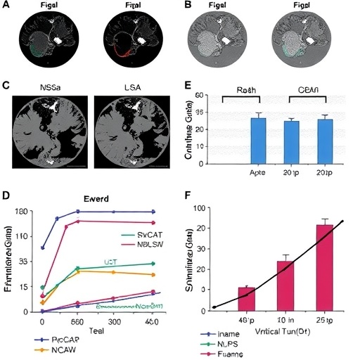 wnt-signaling-fuels-stemness-in-smarca4-deficient-tumors