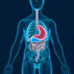 gut-microbiome:-the-secret-architect-shaping-liver-cancer-immunotherapy-outcomes
