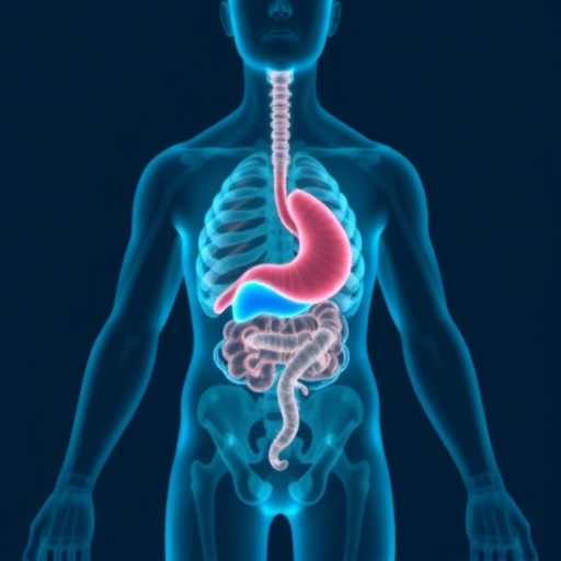 gut-microbiome:-the-secret-architect-shaping-liver-cancer-immunotherapy-outcomes