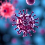 car-t-cell-therapy-targets-crucial-mutation-behind-rare-blood-cancers