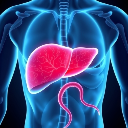 fatty-liver-accelerates-aggressive-cancer-metastasis
