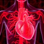 cardiac-sympathetic-loss-reveals-lewy-body-timeline