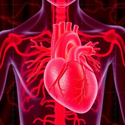 cardiac-sympathetic-loss-reveals-lewy-body-timeline