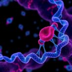 genomic-and-epigenomic-insights-into-acute-lymphoblastic-leukemia